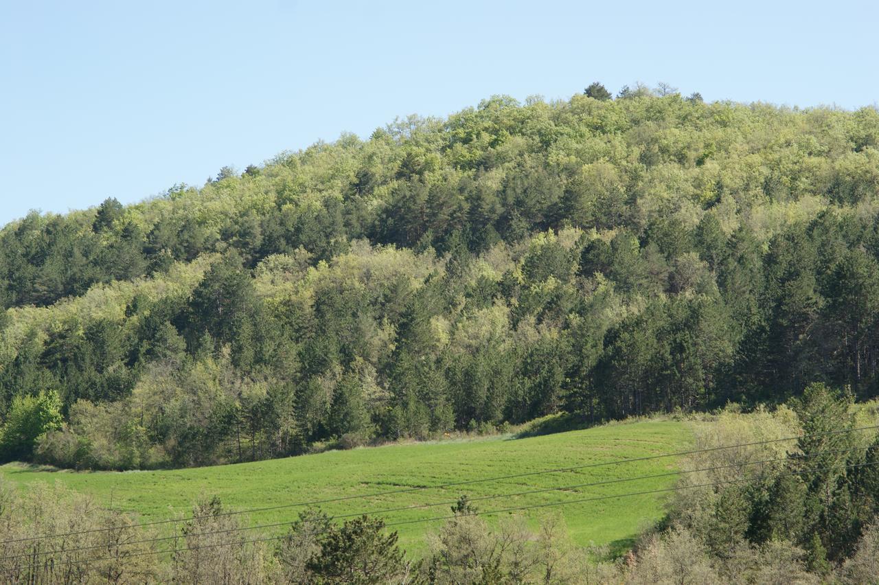 Domaine De Luzenac Bed & Breakfast Val-du-Faby Dış mekan fotoğraf