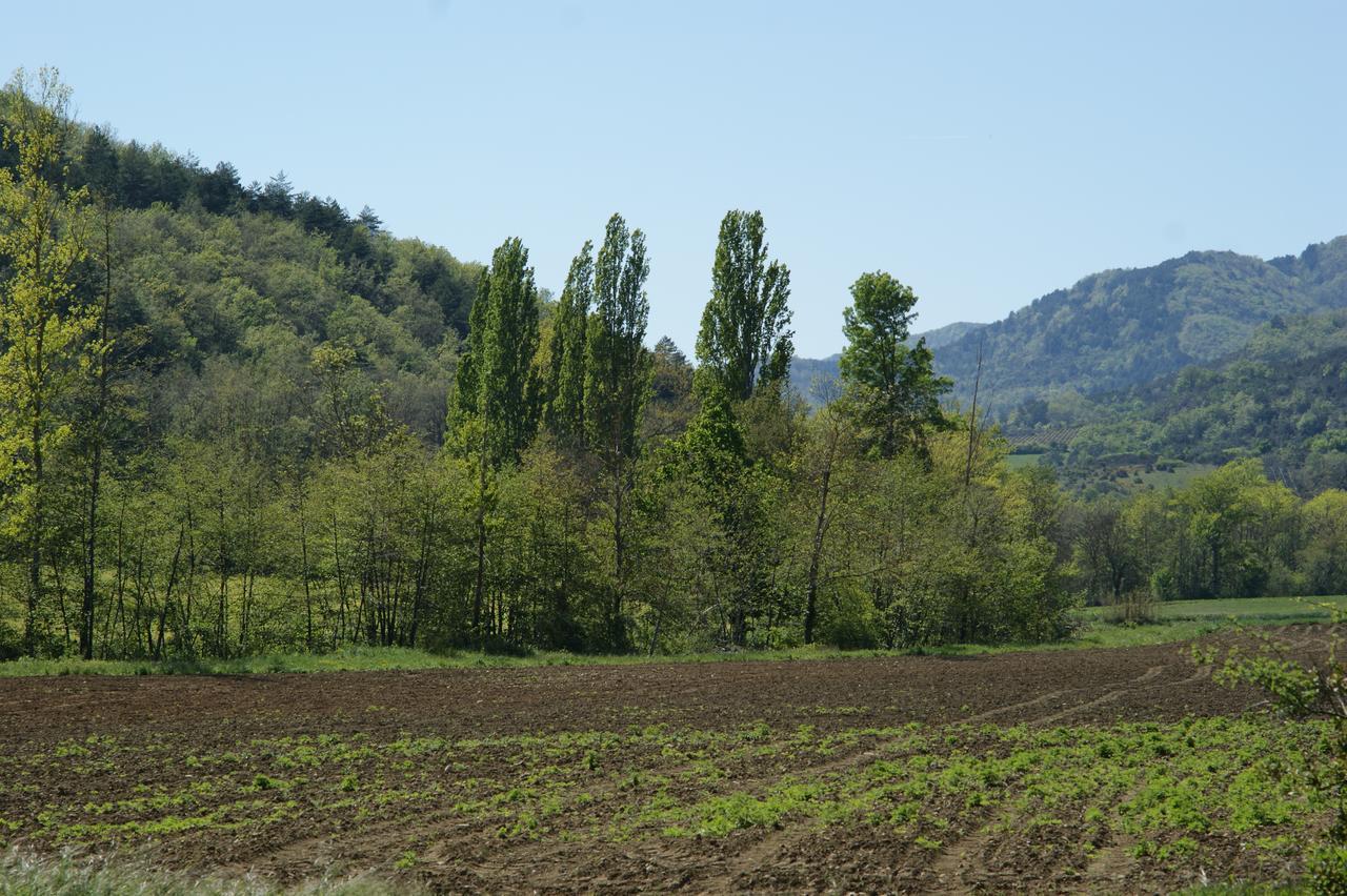 Domaine De Luzenac Bed & Breakfast Val-du-Faby Dış mekan fotoğraf